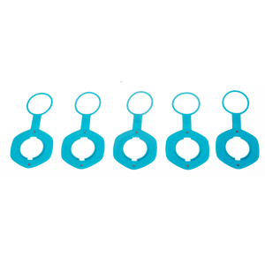 Duotone Air Port Valve II disc (SS20-onw) (5pcs) 2025 Spareparts